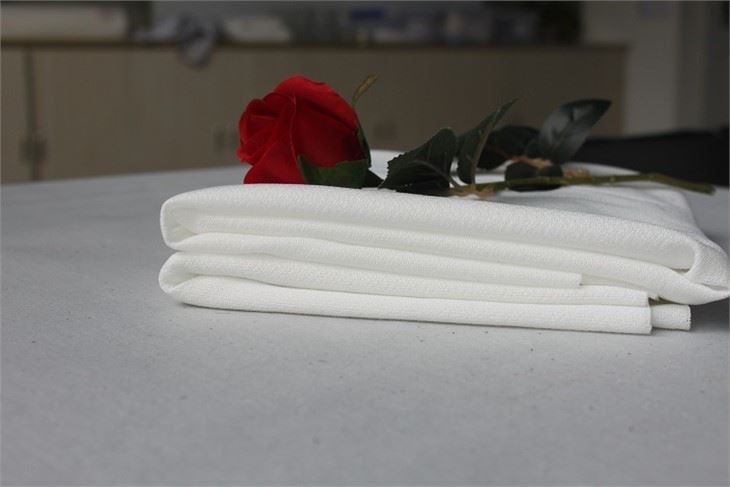 Polyester Backing Cloth
